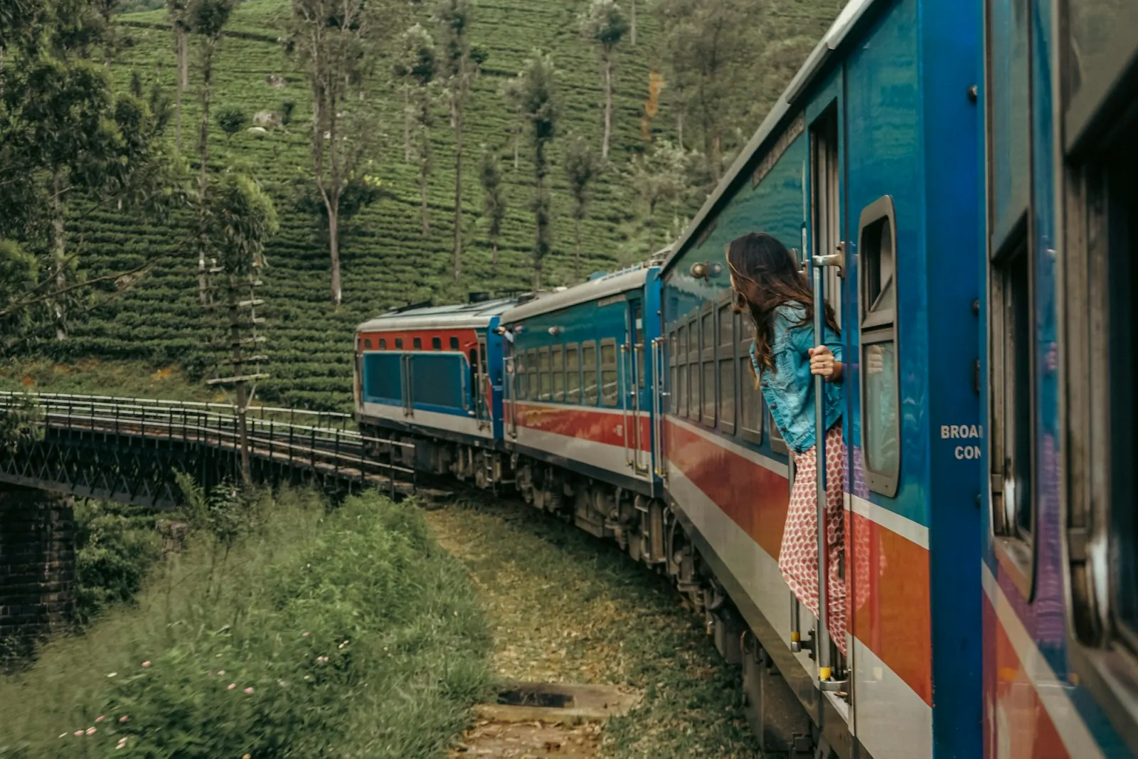 A woman stands at the open window of a moving train, looking out at tea bushes on the hillside