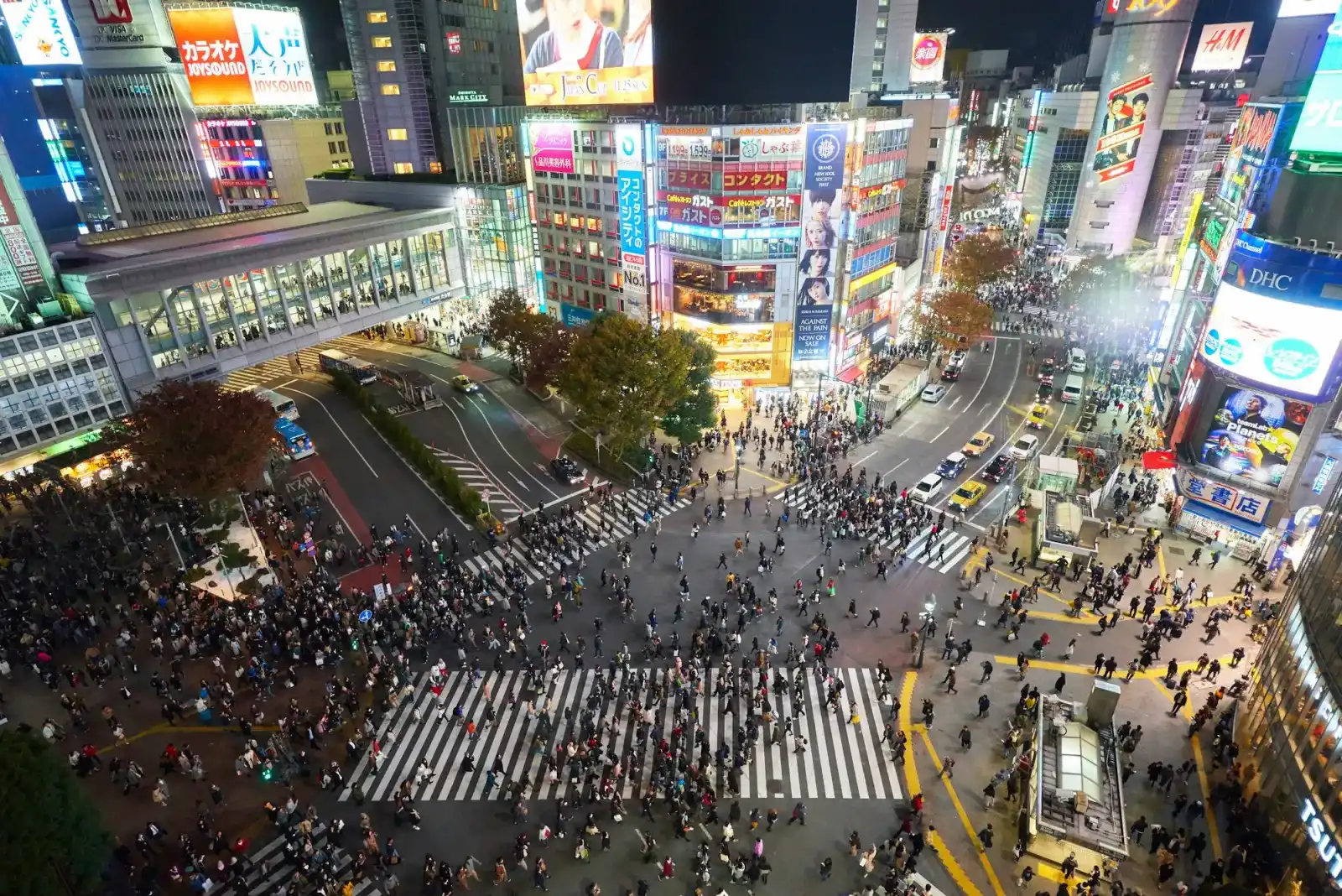 Crowds crossing the Shibuya scramble at night under the lit-up screens